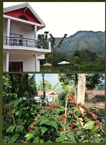 Coffee County Stay I G Road, Chikmaglur 2
